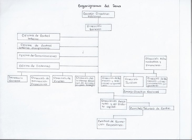 PDF Organigrama Del Sena DOKUMEN TIPS