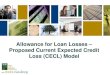 Presentation Slides: Allowance for Loan Losses - Proposed Current Expected Credit Loss Model