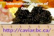 IHOC LTD is a Caviar Distributor Company