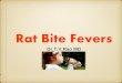 Rat bite fevers