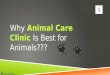 Why animal care clinic is best for animals
