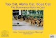 ICAWC 2013 - Top Cat, Alpha Cat, Boss Cat - Nicky Trevorrow & Penny Alborough