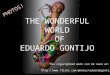 The Wonderful World of Eduardo Gontijo