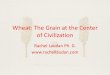 Wheat: The Grain at the Center of Civilization