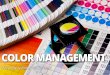 5. DSLR Photography 101 - Colour Management