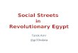 Social Streets in Revolutionary Egypt