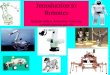 Introduction robotics