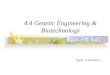 4.4 genetic engineering & biotechnology
