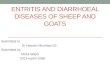 Entritis and diarrheal diseases of sheep and goats