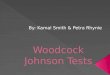 Woodcock Johnson Tests