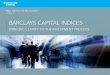 Barclays Capital Indices