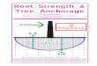 Root Strength Pub 10-19