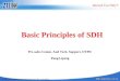 Training PPT,SDH Principle,20040423
