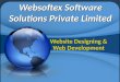 Websoftex software solutions private limited