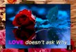 LOVE doesn’t ask Why - Happy Valentine’s Day with Celine Dion’s ‘Love doesn’t ask why’