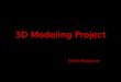 3D IT project
