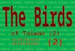 The birds of taiwan (2) 台灣的鳥類 (2)