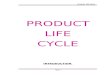 42623878 Product Life Cycle Copy