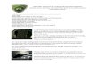Tire lyna vs tire sealants (1)