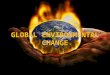 Global environmental change (an account on global warming and ozone depletion its causes, its effects and measures taken to reduce this)