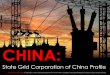 [Smart Grid Market Research] China: State Grid Corporation of China Profile, March 2012