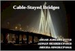Cable stayed ppt acp