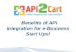 Benefits of API Integration for Start Ups