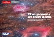 EIU | SAP - The Power of fast data - The Economist Intelligence Unit - December 2013