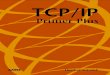 TCP IP Primer Plus