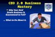 Ceo Business Mastery2