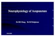 NeuroPhysiology Acupuncture
