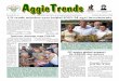 Aggie Trends October-November 2009