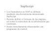 Form - Otro Manual de SapScript