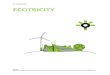 Ecotricity- Report