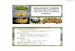 Regulation of ripening and disease control in Lakatan and Latundan bananas