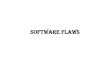 Software Flaws