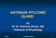 Nomad: Anterior Pituitary Physiology