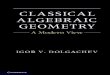 Classical Algebraic Geometry: a modern view
