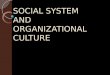 Social System and Organizational Culture Ppp