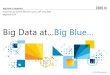 Big Data and Analytics: The IBM Perspective