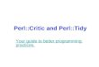 Perl Tidy Perl Critic