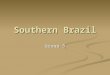 Southern Brazil Group 5 Overview