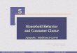 Ch05:household behavior and consumer choice