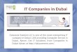 ELV companies in UAE
