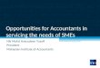 Opportunities For Accountants In Servicing The Needs Of SMEs