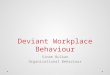 Deviant workplace behavior