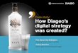 How diageo's digital strategy started?