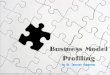 Business Model Profiling