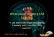 Art of brain Education Training