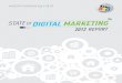 State of Digital Marketing Report : B2b vs B2c